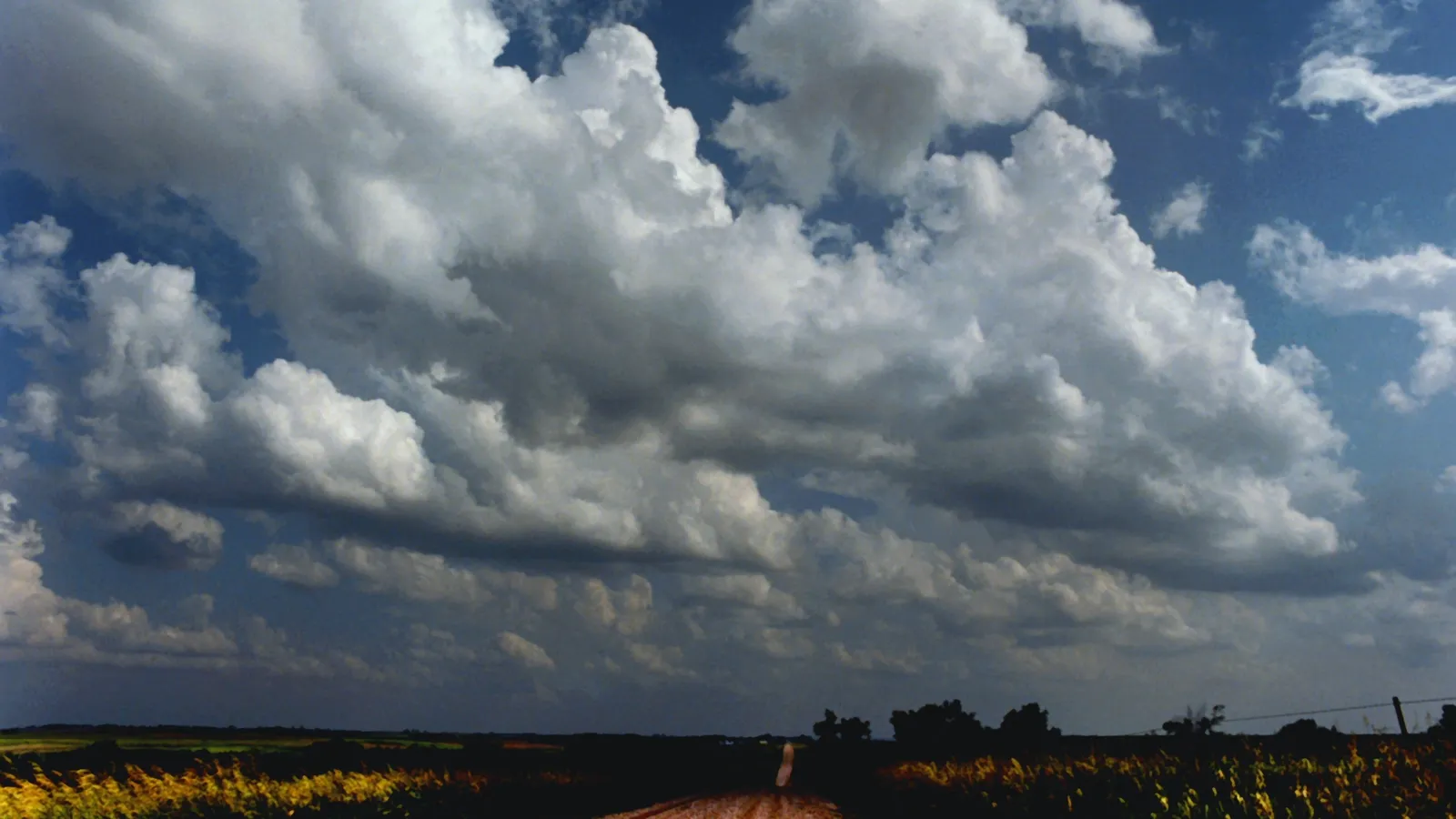 Rows of cumulus clouds over a dirt road between Kansas fields, their dark flat bases all at about the same height.