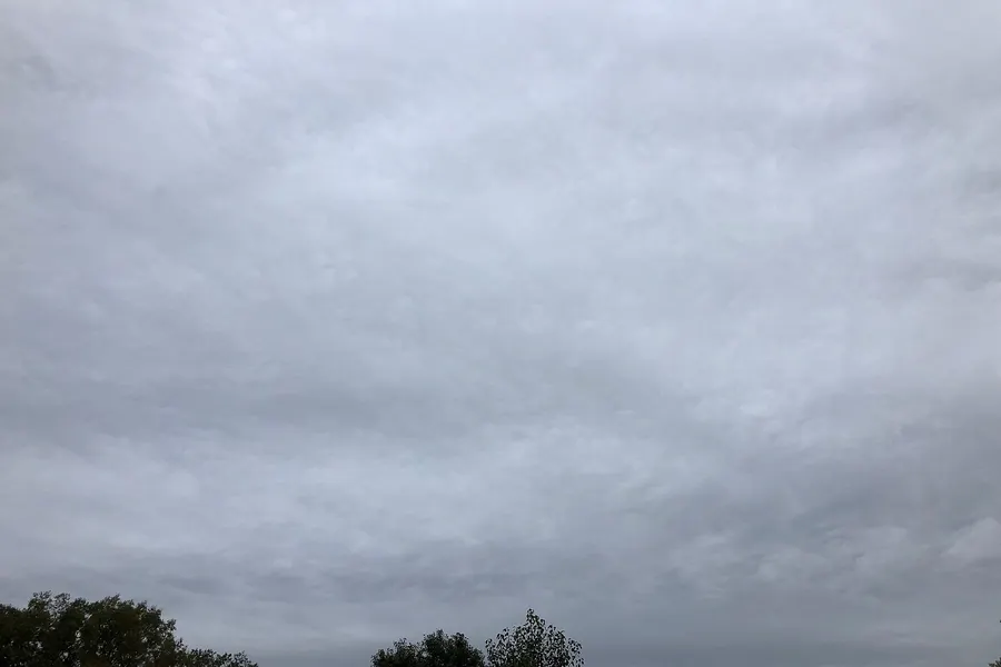 A featureless, even gray sheet of cloud covering the whole sky above the tops of trees and a rooftop.