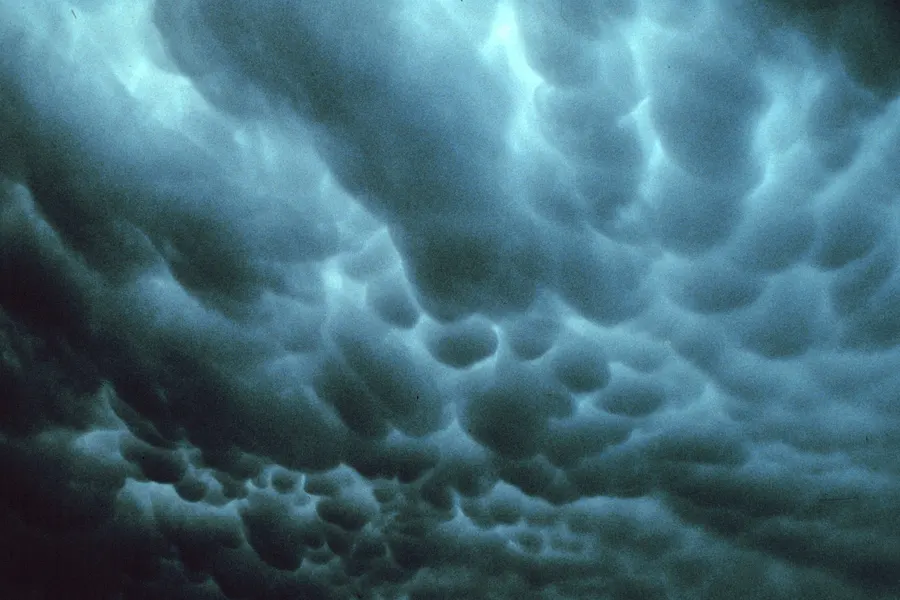 The underside of a cloud covered in smooth, rounded, hanging pouches, lit from the side.
