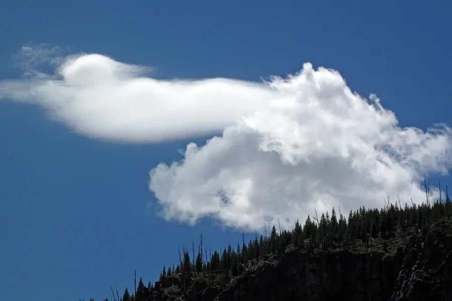 A smooth, elongated white cap of cloud attached to the upper left of a growing, lumpy white cumulus, over a forested ridge.