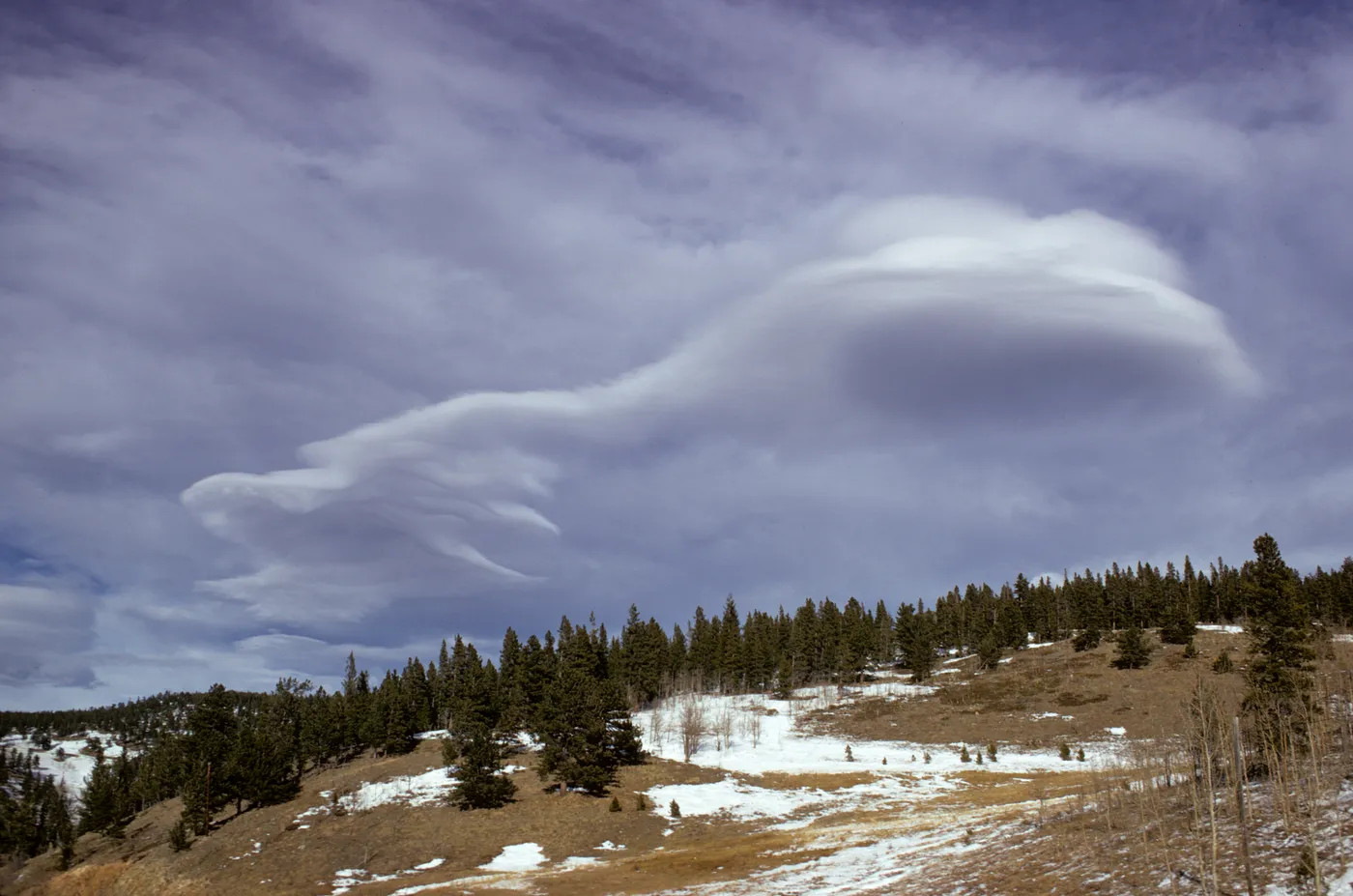 A large, smooth, lens-shaped cloud with a curling tail hangs in a gray sky above a snowy, pine-covered hillside.