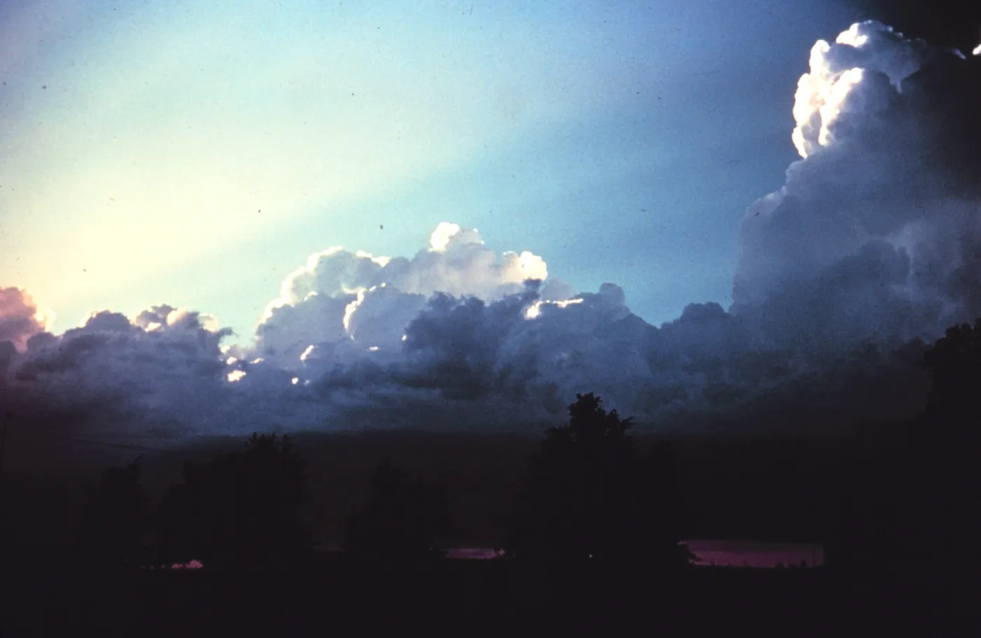 Heaped cumulus clouds with bright, sunlit tops in low sunlight over a row of dark trees, with a taller cloud tower rising on the right.