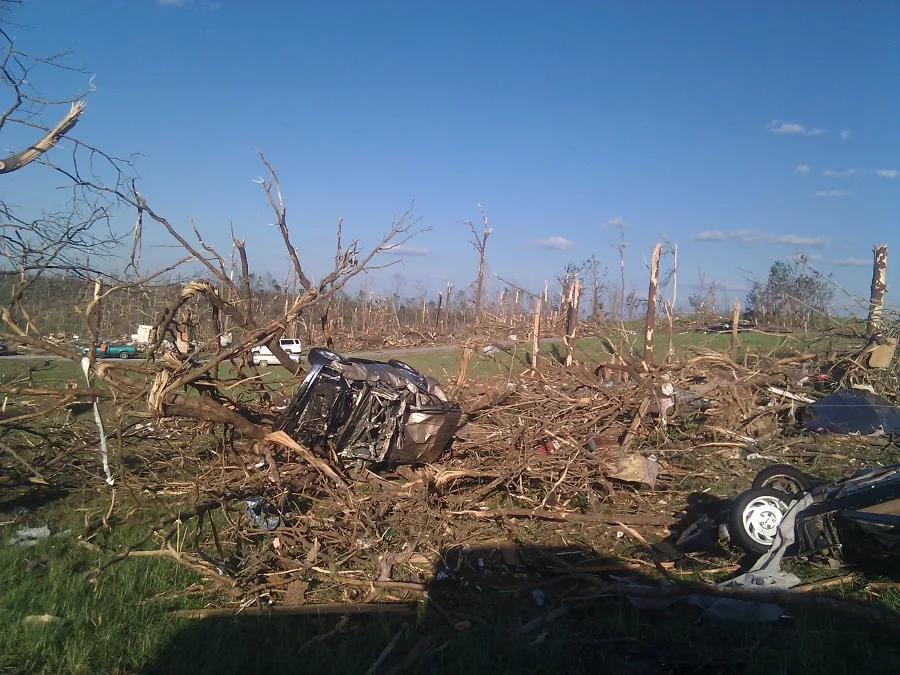 A field of debarked tree trunks and splintered wood in Phil Campbell, with a crushed car in the foreground and blue sky above.